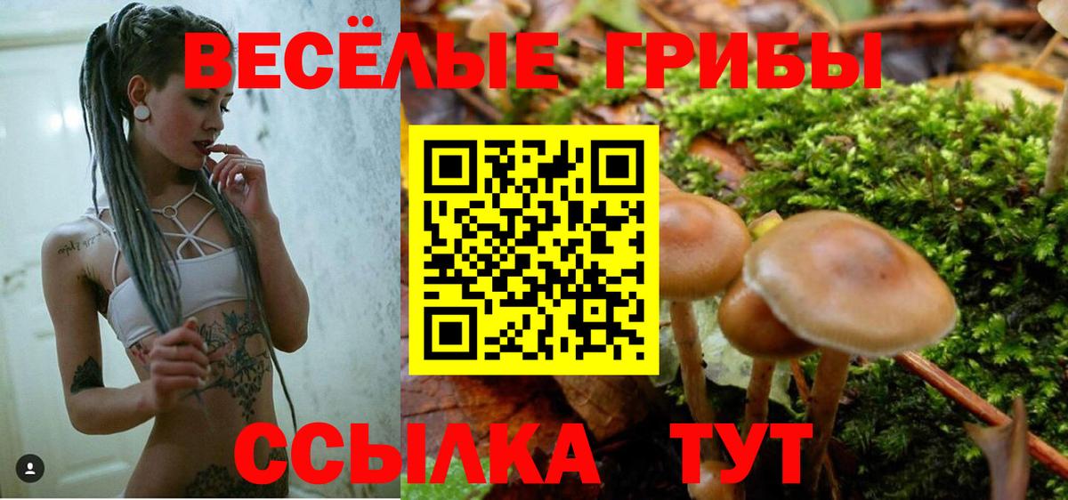 Галлюциногенные грибы ЛСД Пугачёв
